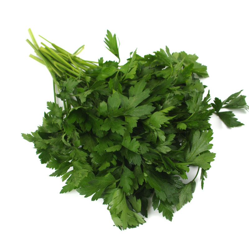 意大利芹/欧芹250g 新鲜蔬菜香料 平叶巴西利 沃鲜汇生鲜超市