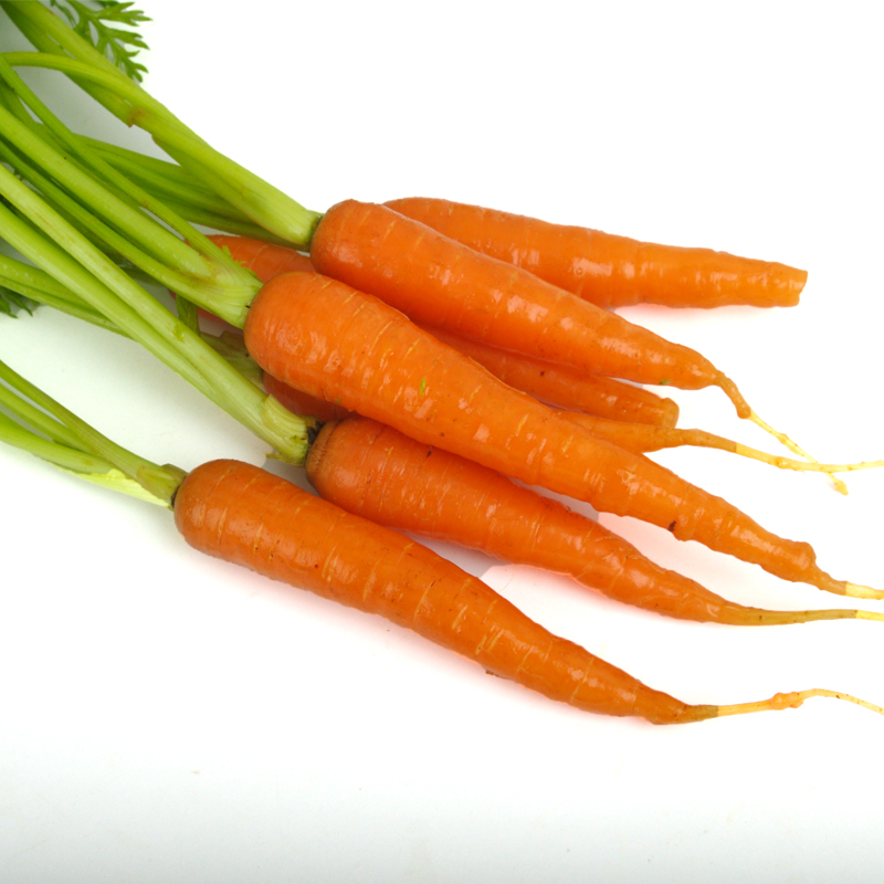 手指迷你胡萝卜500g农家新鲜蔬菜宝宝辅食鲜汇其它