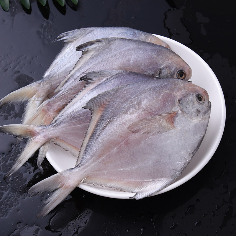 白鲳鱼鲳鱼1条约2两半1条1人1餐10份包邮江浙沪鲳鱼