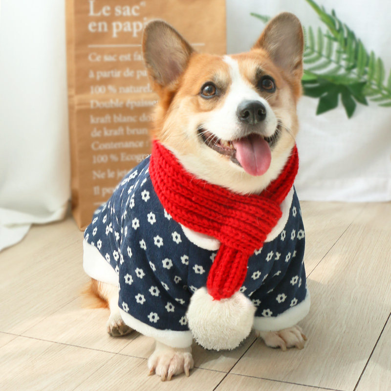 宠物宠物狗狗狗围巾三角巾围脖饰品可爱秋冬保暖围巾