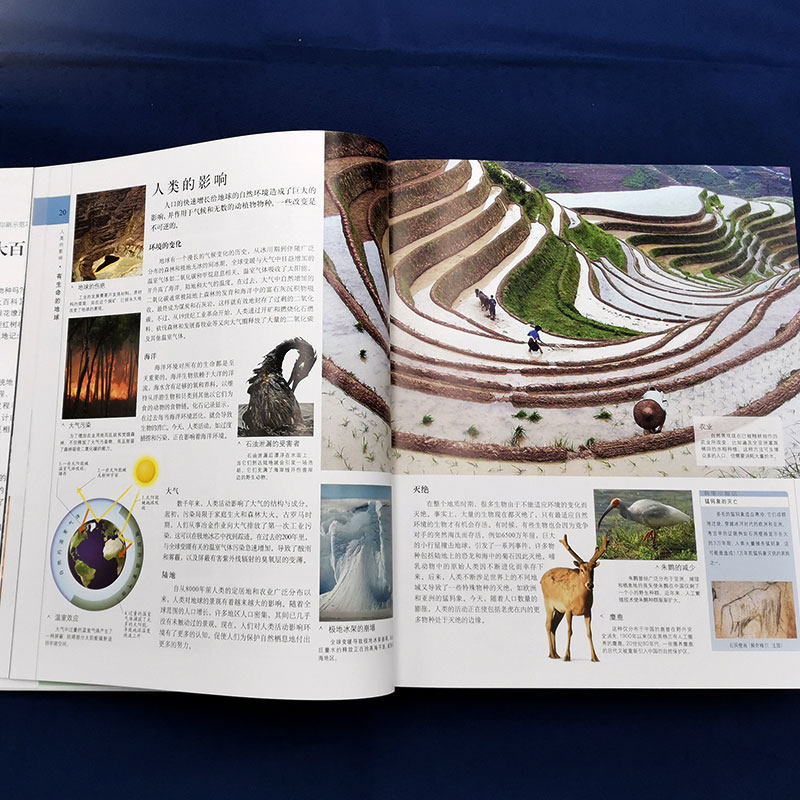 大百科儿童dk小学生盛宴视觉自然界科学恐龙大百科全书科普百科