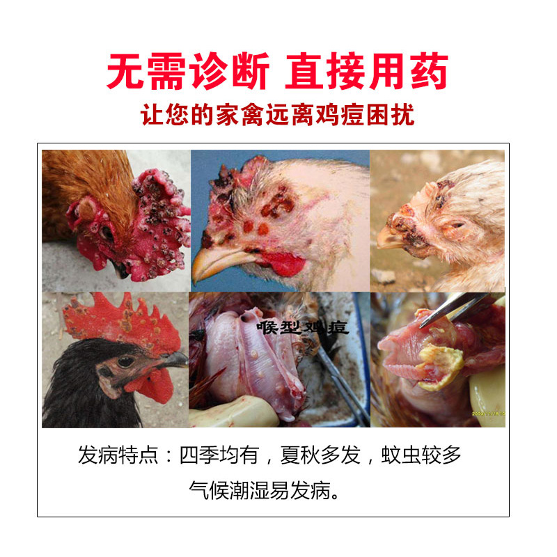 痘药药鸡鸡药大全鸡痘治疗病鸡重症鸡豆净鸽饲料添加剂