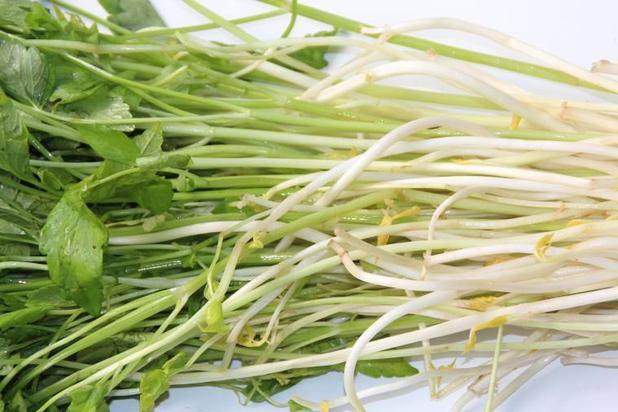 安徽宣城郎溪新鲜蔬菜 芹芽 白芹菜 26 元3斤 包邮