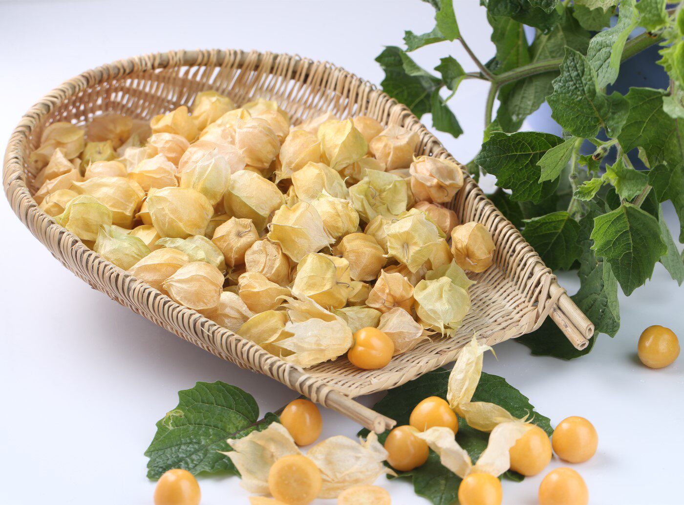 姑娘东北长白山特产黄姑娘灯笼果菇鸟1500g3斤装包其它