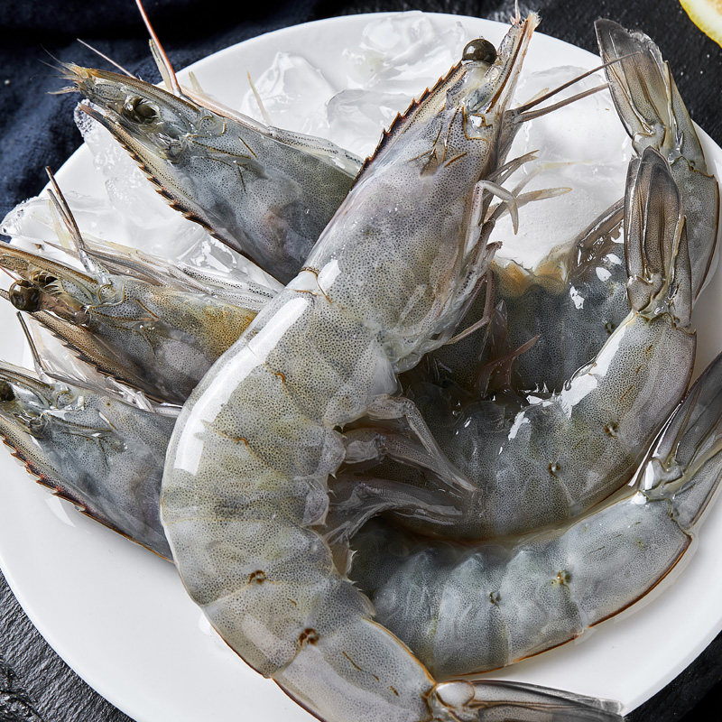 天海藏盐田大虾无冰净重165kg