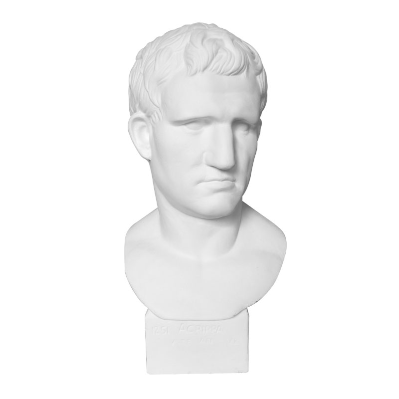 石膏阿格里巴摆件美术静物模型教具用品石膏像
