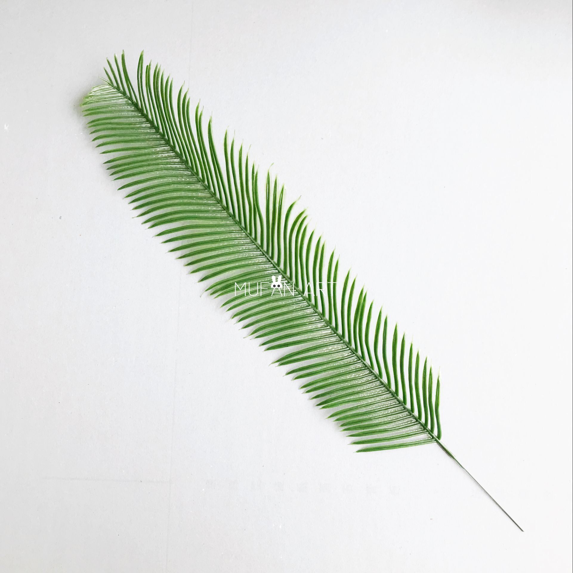 ins仿真散尾叶葵叶绿植家居装饰花艺搭配绿叶拍照仿真花