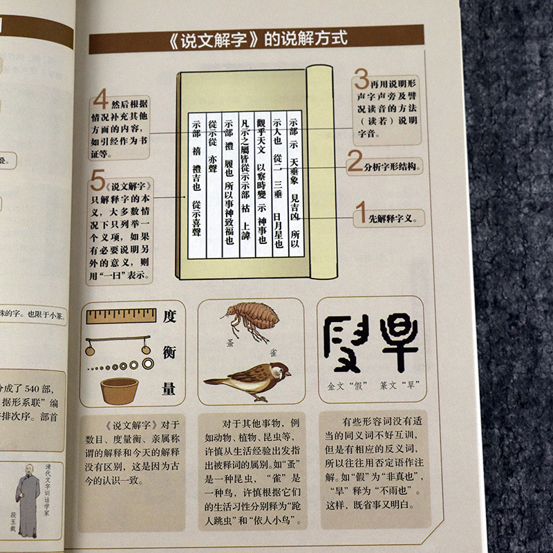 图解说文解字汉字故事细说咬文嚼字段玉裁部首详解字典语言文字
