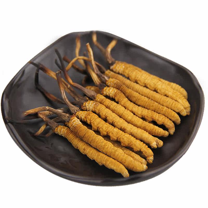 【2019头期】5条1克正宗青海玉树冬虫夏草正野品生虫草礼盒那曲