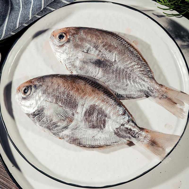 东海野生黑鲳鱼 鸭蛋鲳 肉鲳 刺鲳 适合红烧油煎吃 宝宝吃的鱼