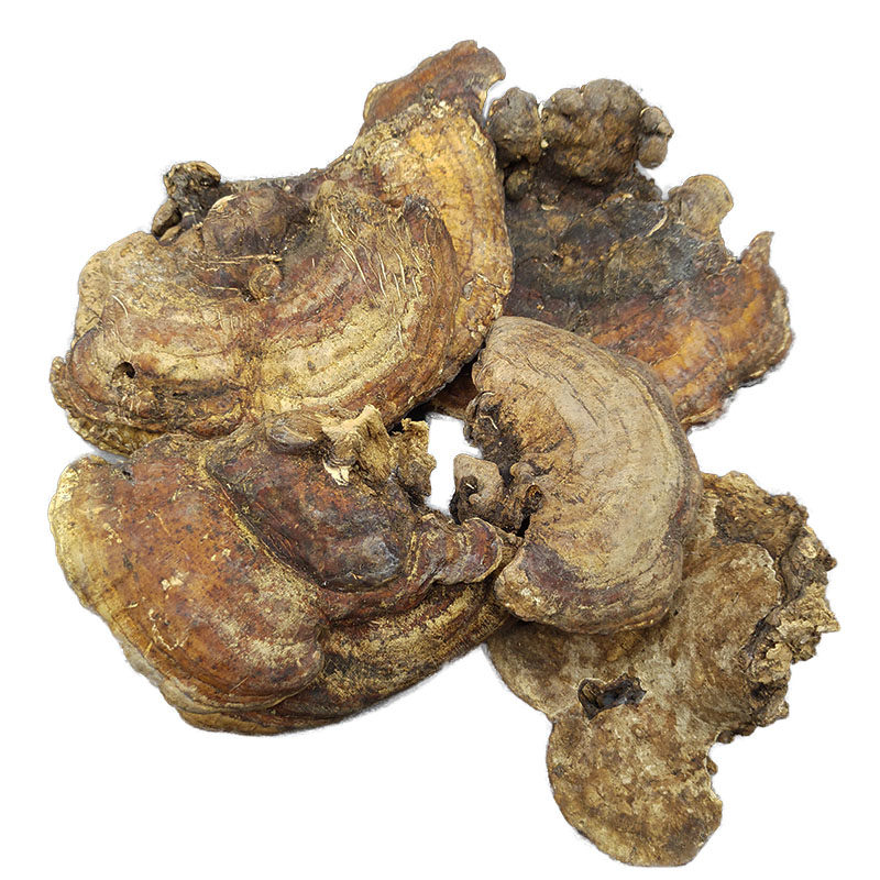 槐耳野生正品250g木耳灵芝整枝打粉