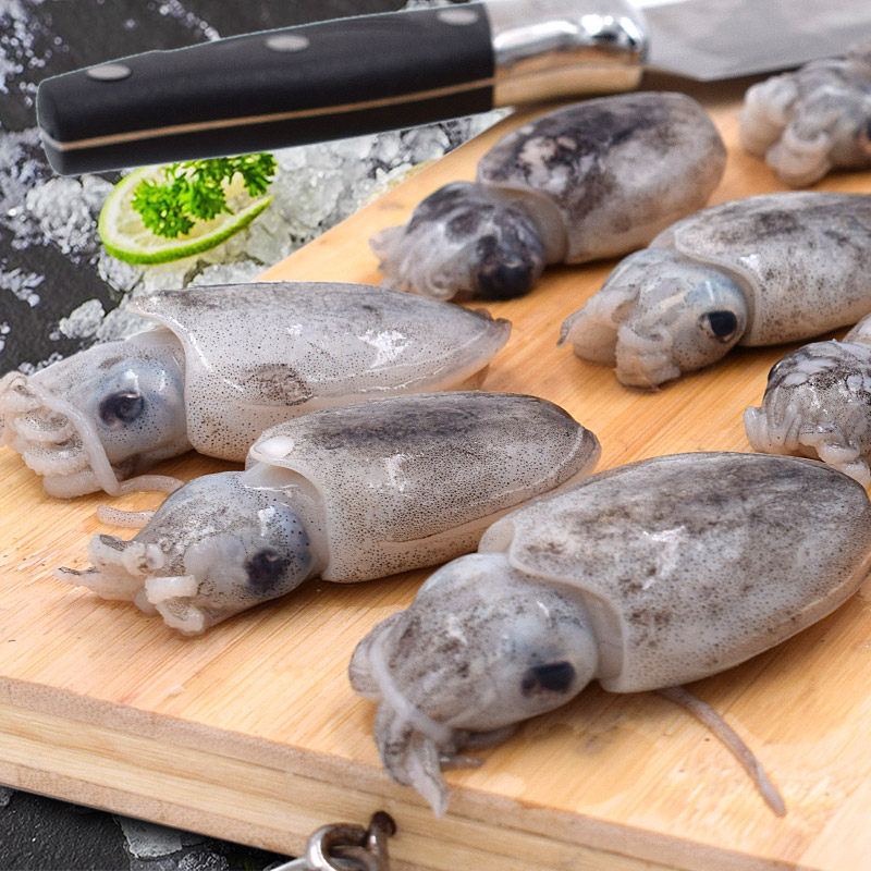 小墨鱼舟山新鲜500g乌贼小海海兔花枝墨斗鱼冷冻冷冻墨鱼