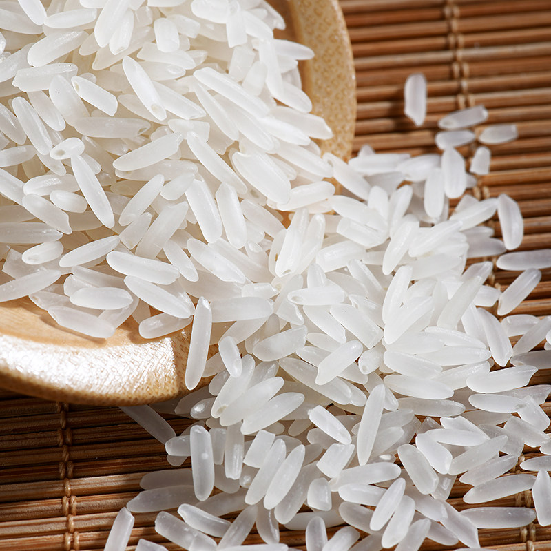 宾阳古辣香米广西大米5kg晚稻煲仔专用米长粒大米