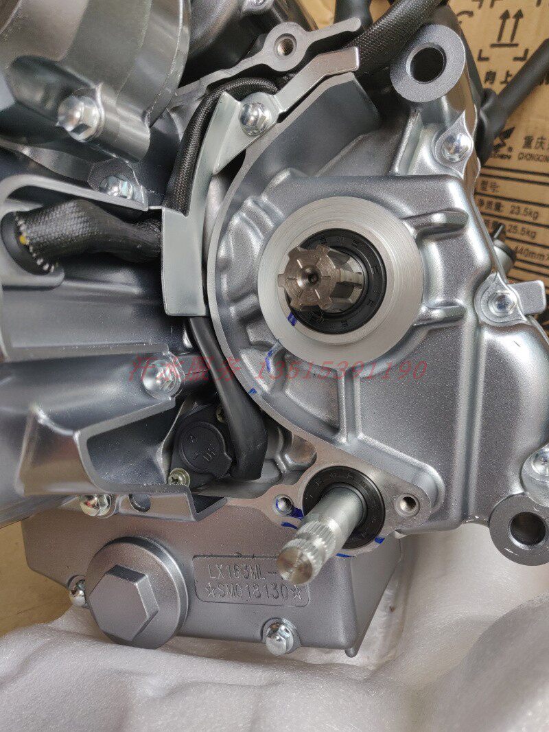 隆鑫鑫动力大江望江三轮车专用lx200td210水冷发动机总成摩托车发动机