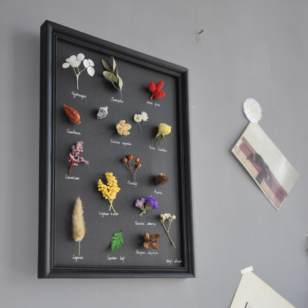 植物原创手作标本装饰画永生花干花森系小清新挂画标本类装饰画