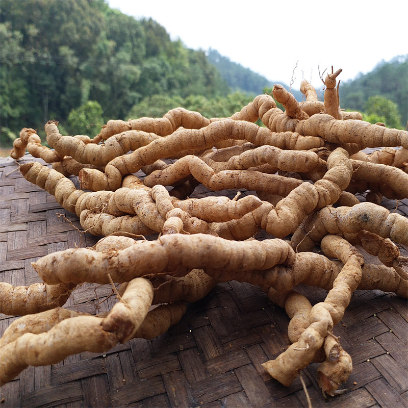巴戟天精选新鲜中药材修剪特级鸡肠风非野生凤眼其他药食同源食品