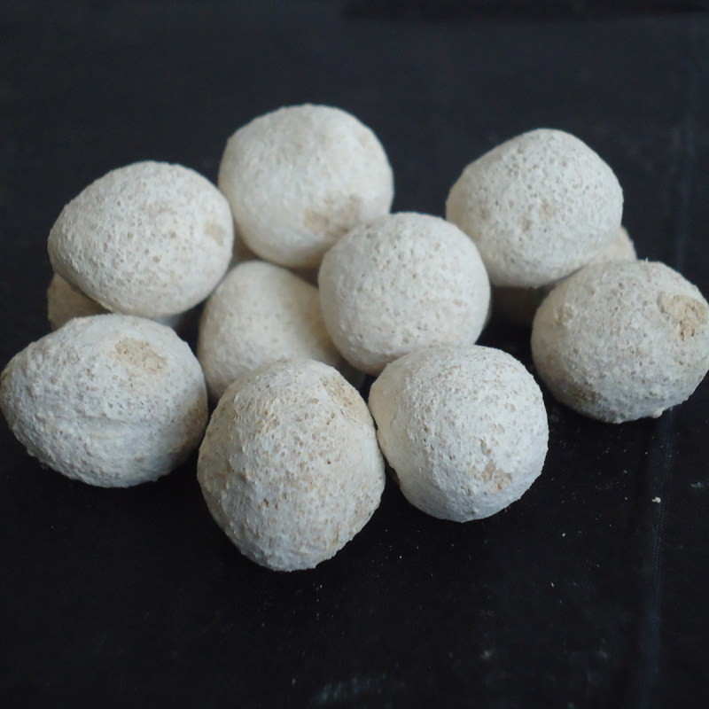 酿酒家用酵母田酵母黄酒玉米水果杨梅糯米酒酿其它干货