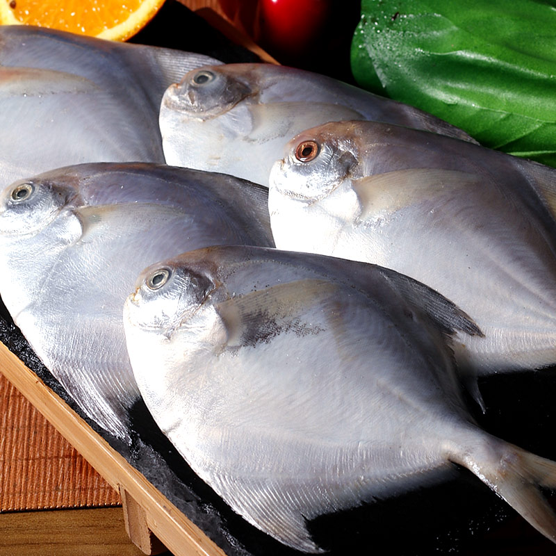 鲳鱼大新新鲜鲜活冷冻500g野生海捕白超大海鲜鲳鱼