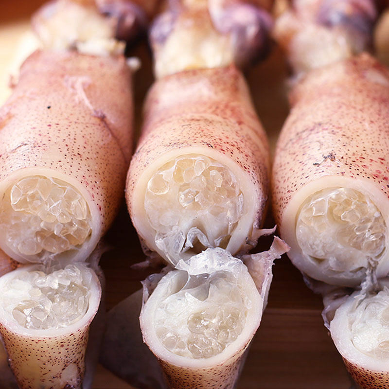 海兔新鲜冷冻包邮兔子满籽籽乌笔管海鲜水产冷冻鱿鱼