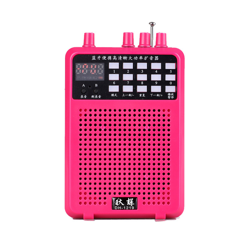 二胡狄辉无线扩音器24g神器乐器专用大功率录音扩音器