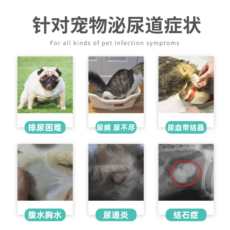 鑫安猫利尿通狗狗尿路感染泌尿系统尿道炎猫咪尿血结石宠物泌尿药