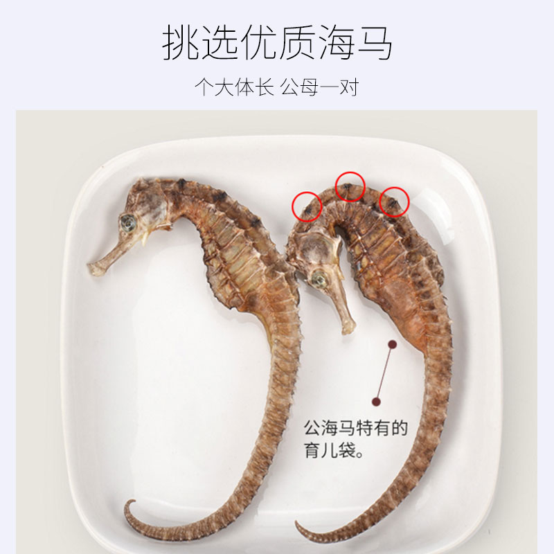 海马干货一对5g公母本港正宗三斑海马泡酒滋补煲汤料大海马中药材