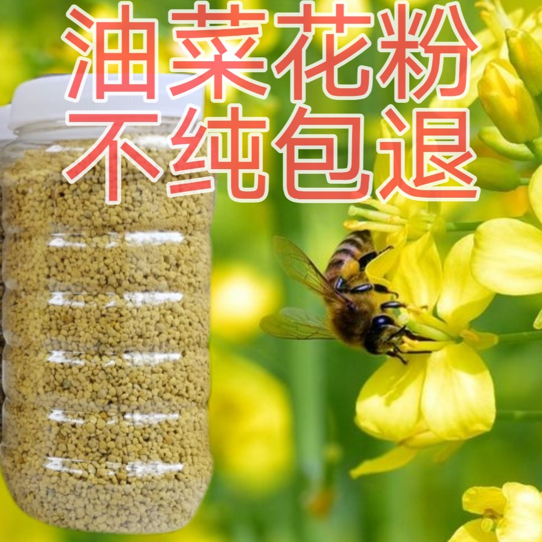 油菜花粉的功效与作用