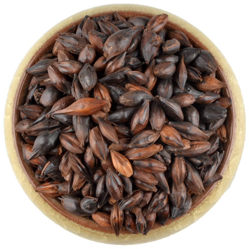 焦麦芽500克焦三仙原料可搭配焦神曲焦山楂另售金内金