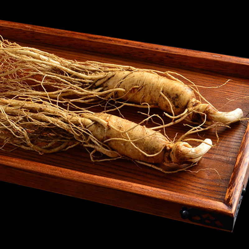 大支两根共140g 东北鲜人参野山参长白山新鲜整枝带土人身林下