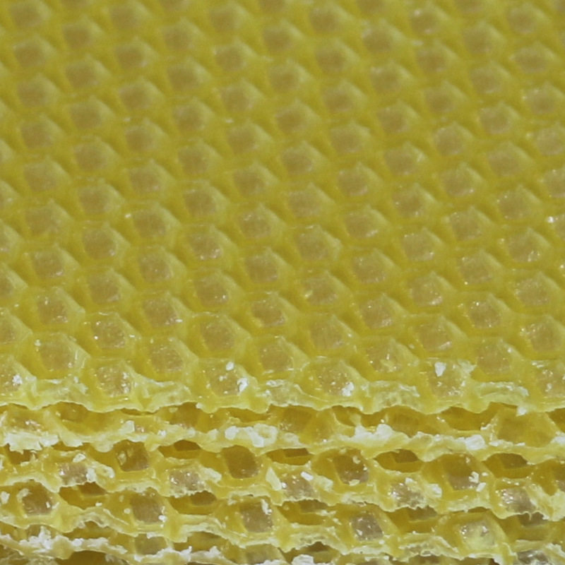 八千中蜂巢础巢基巢脾巢皮蜂蜡巢础35片