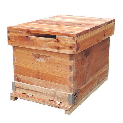 煮蜡杉木蜂箱标准七框箱子全套养蜜蜂工具平箱浸蜡中蜂箱煮蜡蜂箱