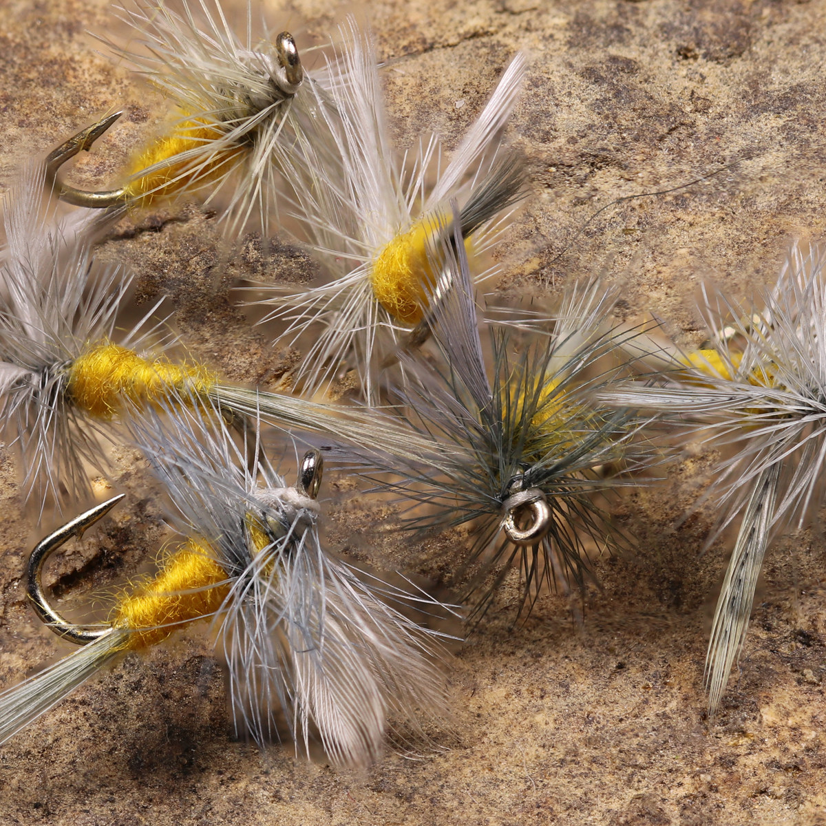 亚当斯飞蝇蓑羽干式毛钩白条马口溪哥淡水微物鱼钩