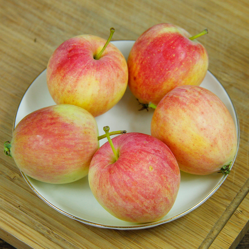 东北k9沙果海棠果5斤包邮特产开久花红小苹果苹果