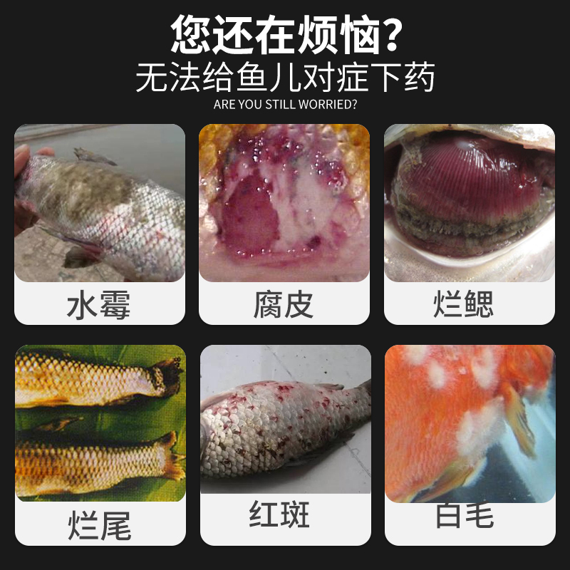 霉病硫醚沙星水霉清水霉白毛病腐皮鱼烂鳃烂尾水族药品药剂
