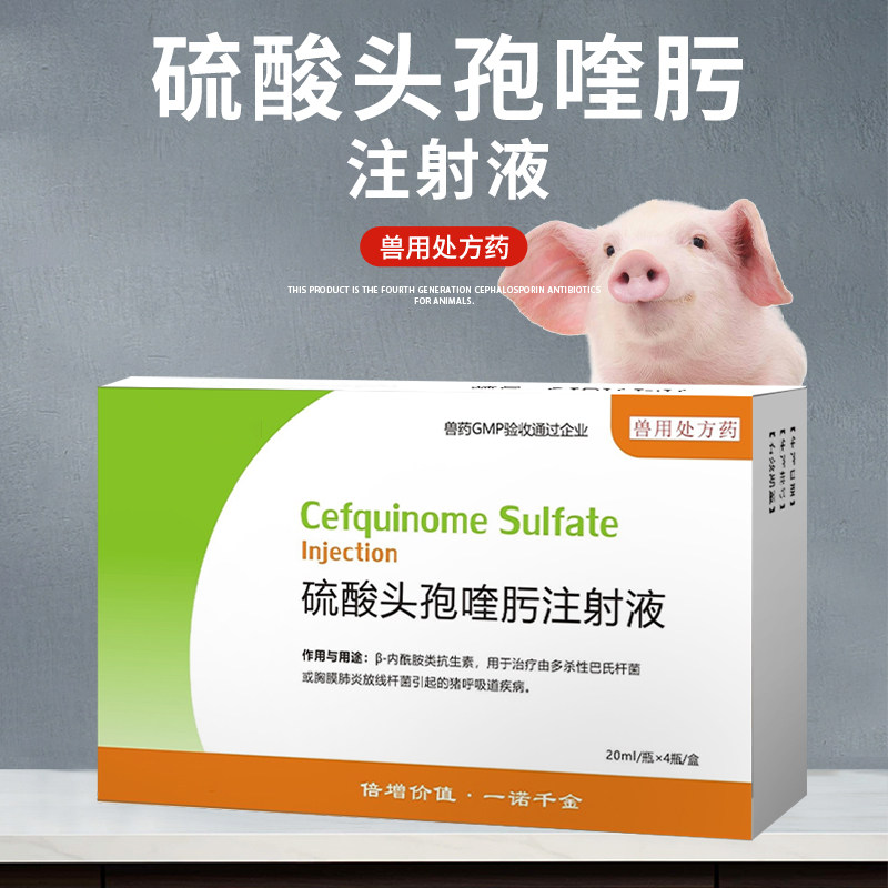 硫酸头孢喹肟注射液牛羊肺炎胸膜炎链球菌抗菌消炎畜牧药品