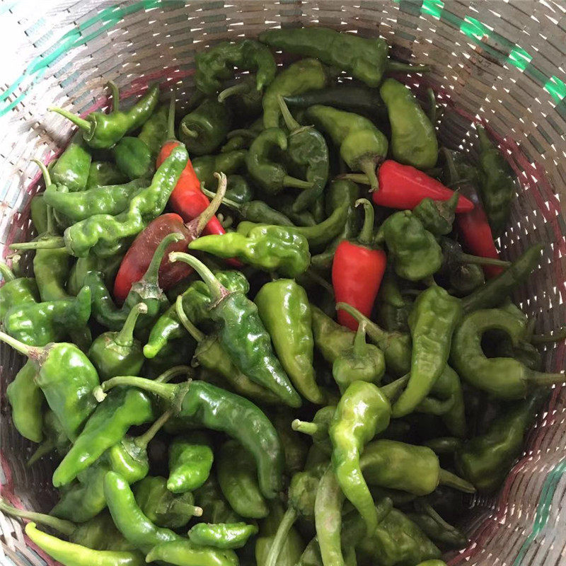 辣椒湖北农家自种迷你小辣椒香辣薄皮本地5斤辣椒