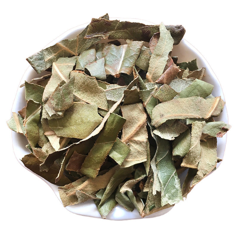 枇杷叶中药中药新鲜干货500克叶茶叶干批叶琵琶琵琶其他药食同源食品