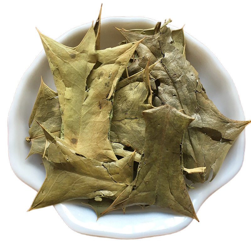 枸骨叶500克另售粉干功劳羊角狗青中药材其他药食同源食品