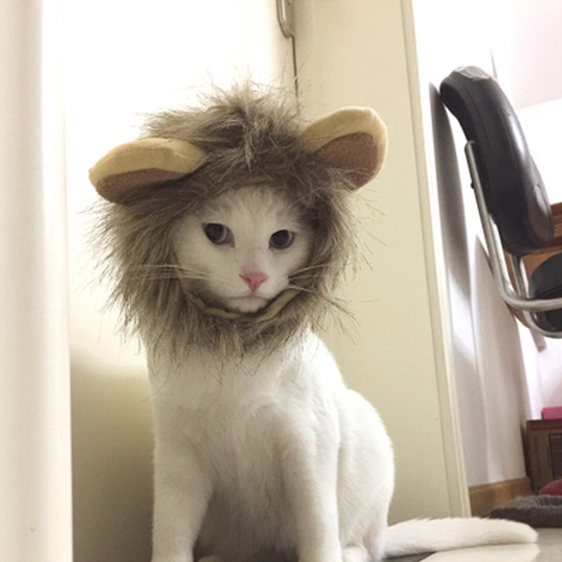 namsan创意猫咪狮子狮子头头套耳朵小狗变身全新帽子