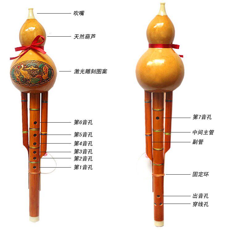 芦丝 初学者儿童小学生防摔胡芦丝教材民族乐器葫芦丝c调降b调葫