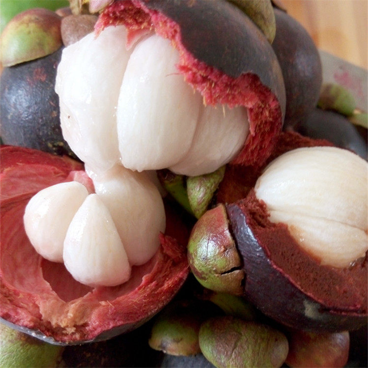 水果云南瑞丽热带水果新鲜山竹4斤当季时令宝宝山竹