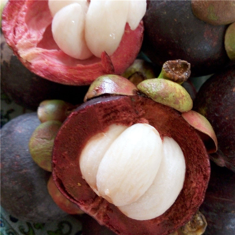 水果云南瑞丽热带水果新鲜山竹4斤当季时令宝宝山竹