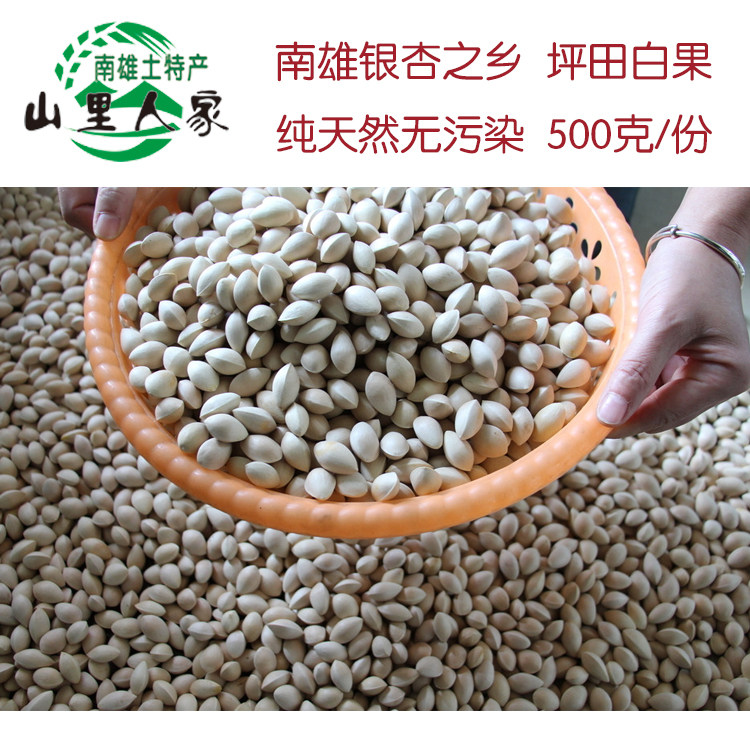 韶关南雄粤北特产正宗坪田千年老树白果中果其它