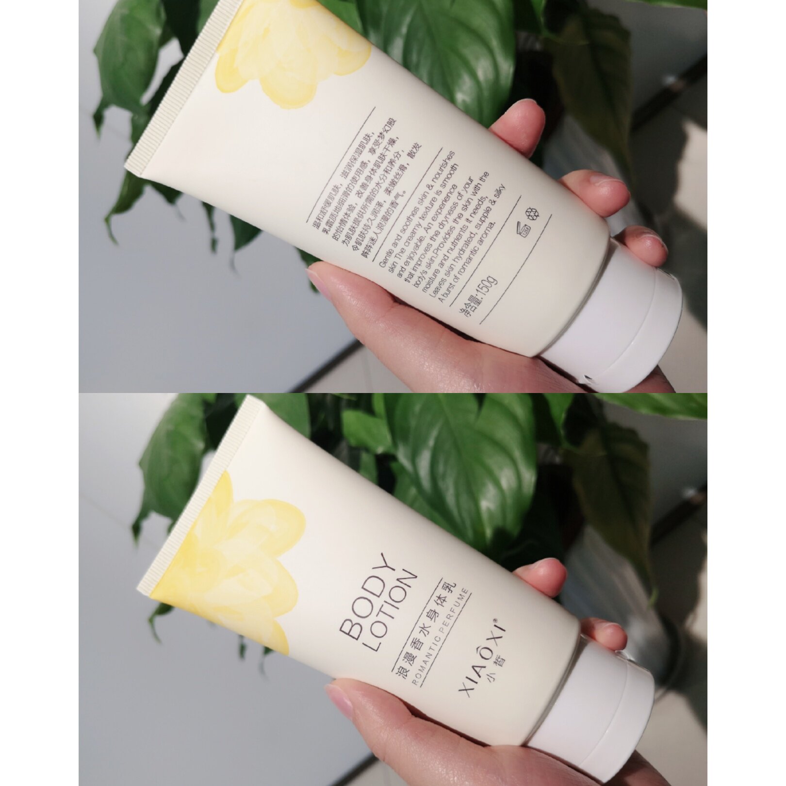 春素小皙浪漫香水身体全身滋润保湿补水水润身体乳