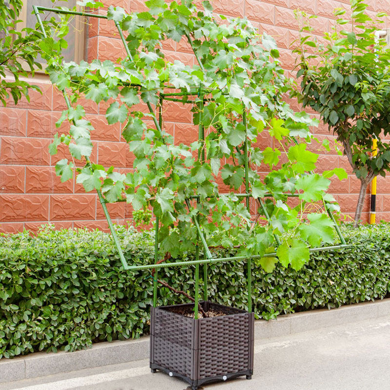 阳台葡萄架种植箱架庭院室外植物攀爬架子蔬菜花架