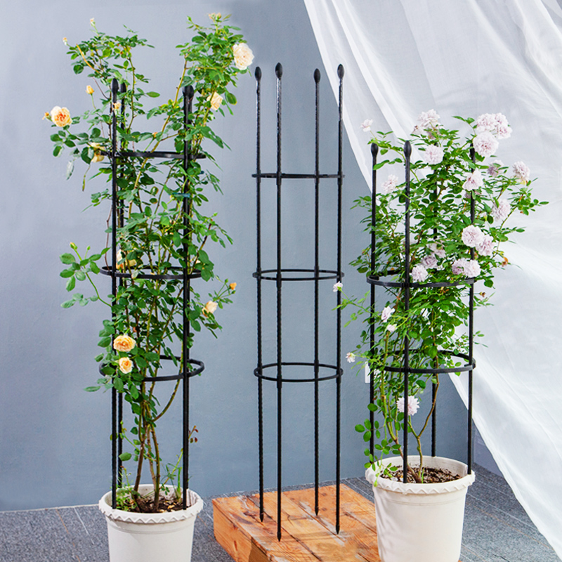 花盆爬藤藤架攀藤植物月季支架铁线莲阳台园艺花盆