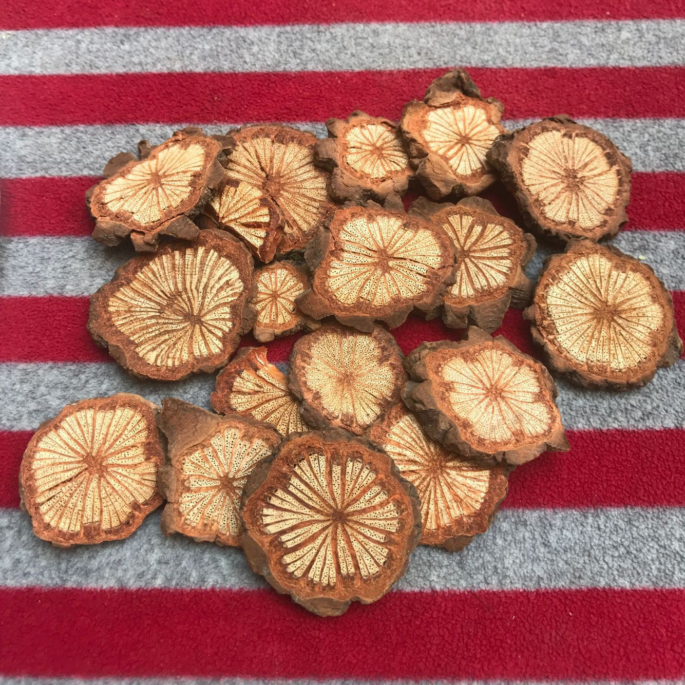 红藤 中药材 精选野生大血藤 红藤片 大血藤 脑血藤片500g包邮