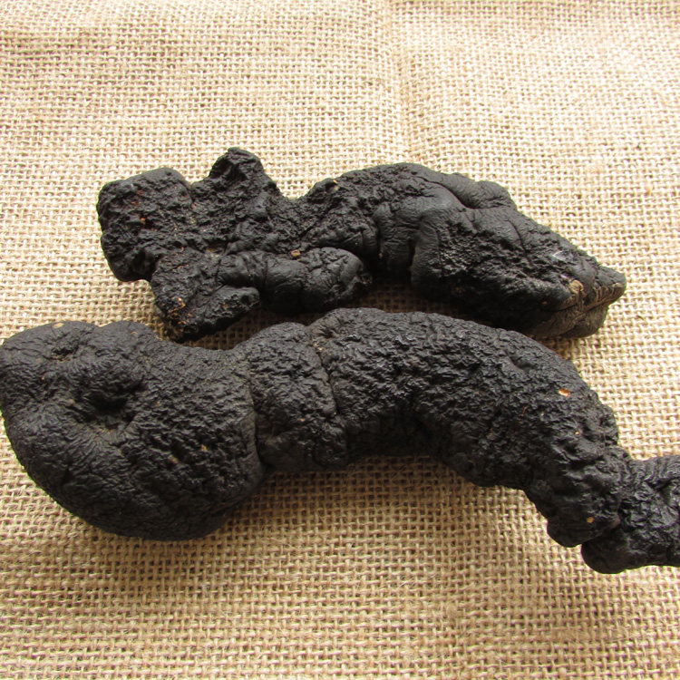 秦岭深山野生猪苓原产地野生朱苓猪茯苓猪屎苓中药材精选品质250g