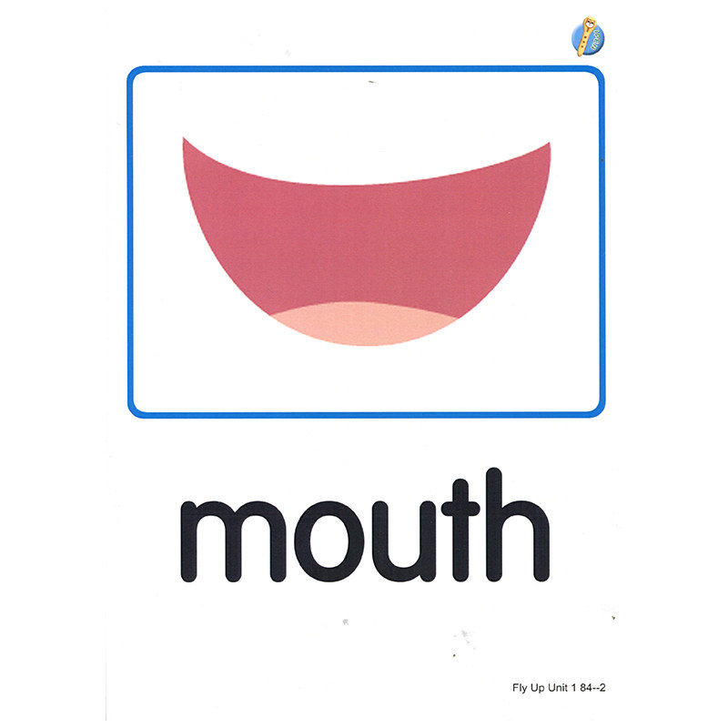 flyup幼小衔接卡片小升入门英语教材phonics原版其它