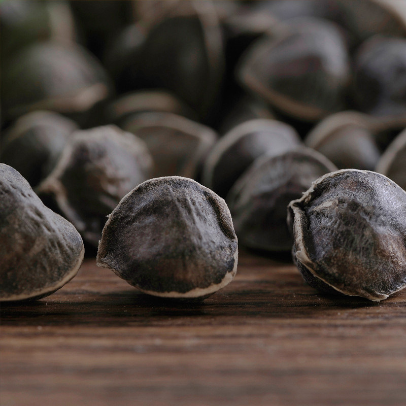 辣木籽 正宗印度进口 天然野生食用辣木子种子 中大散装1斤500g